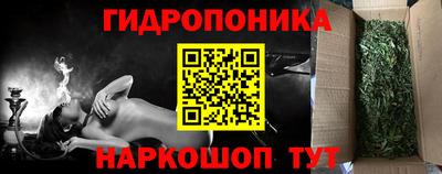 индика Жуковский