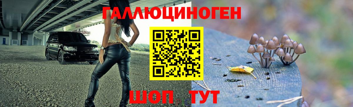 Галлюциногенные грибы мухоморы Лобня